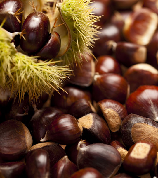 Castagne