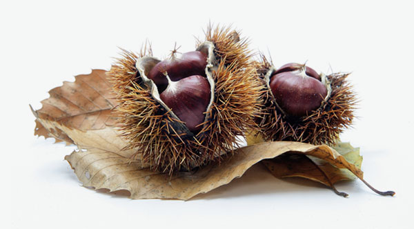 Produzione